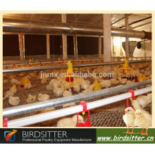 hot sale automatic broiler rate chicken farming accessory with feeding chickens equipment